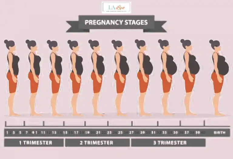 First Trimester (Weeks 1–12): Early Changes You Might Not Notice Hale End